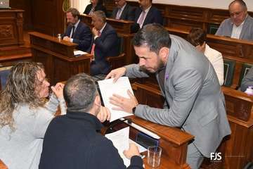 Pleno ordinario de febrero del Ayuntammiento de Telde/FJS Fotografía.